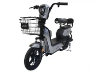 Elektrik Bisiklèt Long Range 80KM
